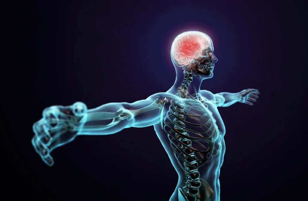 Chiropractic is Neurological