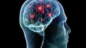 Unlocking the Power of Innate Intelligence: How Chiropractic Care Supports Your Nervous System